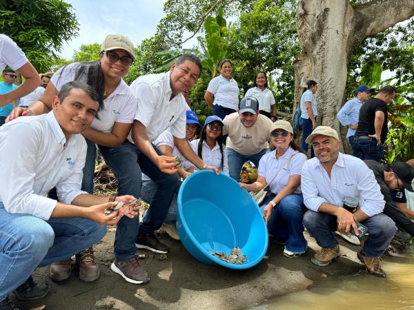 Aqualia se suma a la liberación de más de 1.700 tortugas de río en el Bajo Sinú